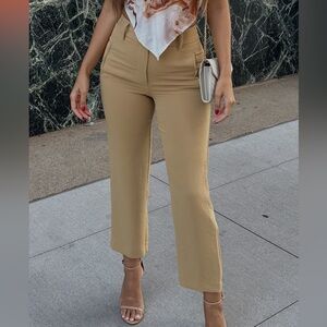 Aritzia Wilfred pants trousers